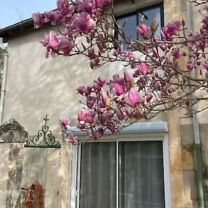 7 Rayons Aviñón