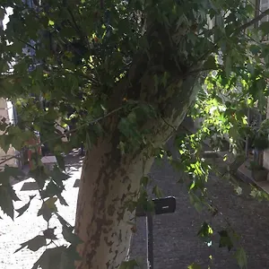 Plaisance Aviñón